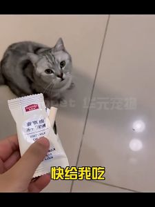 Mai Fudi Cat Snacks Freeze-Dried Goat Milk Sticks Cheese Adult Kittens Nutritional Fat-Increasing Teaser