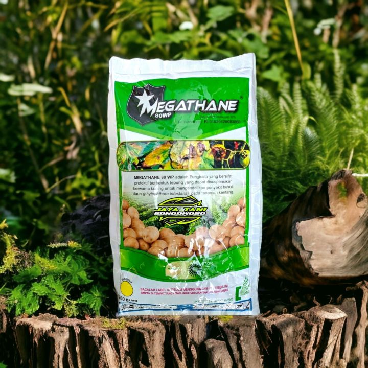 Oyin kartalarining erotik fotosuratlari