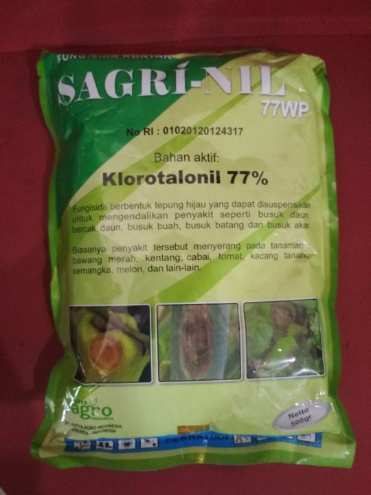 Porno videolar uchun emas