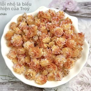 Phụ Kiện Trang Trí Móng Tay Bằng Nhựa Hình Hoa Mẫu Đơn Hồng Trong Suốt Màu Maillard Phát Sáng Dùng Làm Hoa Trang Trí Tự Làm Cho Khuyên Tai Và Móng Tay