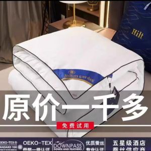 Hotel Zen Silk Cotton Quilt Two-In-One Mother-Child Air Conditioning Summer Cool Winter Thickened Silk Double Bedding