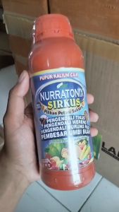 (REKOMENDED) OBAT Pengusir Hama Tikus dan Burung Pipit/Emprit NURRATONIX SIRKUS 500 ML - Pupuk Asli Pembasmi Hama Tikus dan Burung Pemakan Padi Obat Pembasmi Hama Penyerang Padi (Tikus dan Burung Pipit) Terbaik 100% AMPUH