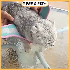 Pet Cat Harness Leash Cat Dog Reflective Leash Breathable Vest Harness Outdoor Walking Costume