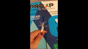 Kabel Lan Indoor PROXP UTP Cat5e UTP Cat 5e UTP Cat6 Cat 6 panjang 305 M 305 Meter warna Putih dan Biru