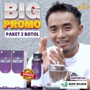 Paket 2 Bio Insuleaf ORIGINAL dari CV. Bumi Wijaya Cilacap Ampuh Atasi Gula Darah Tinggi