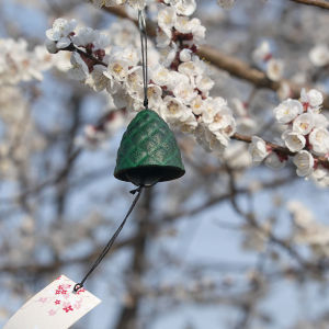 Cast Iron Wind Chimes Bed & Breakfast Metal Retro Scenic Spot Balcony Outdoor Courtyard Camping Canopy Chinese Style and Japanese Style Camping Bell