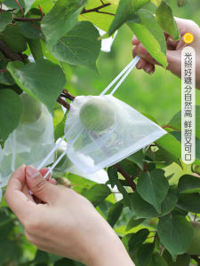 Fruit Bagging Net for Pest Control And Bird Protection Specialized Protective Cover for Grapes Melons And Peaches Tomato