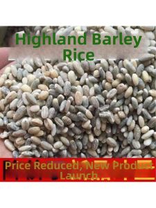 Genuine Highland Qingke Rice 2500g