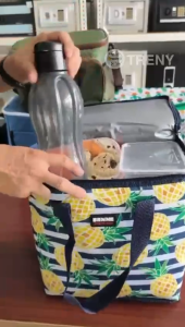 TRENY Picnic bag 22L Large Thermal Cooler Bag Portable Food Cool Box Beach Bottle Ice Pack Camping Waterproof Thermo Insulated Bag Cooler Bag