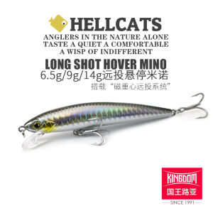 King Lure Far Casting Minnow Lure Suspended Shadow Hanging Bait Sea Bass Trout Killer Hard Bait for All Fishing Places