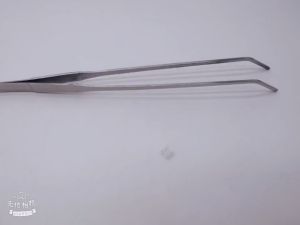 2Pcs Aquarium Tweezers Tools Extra Long 11.8 Inch Tongs for Aquatic Fish Tank Plants Stainless Steel Forceps for Tarantula