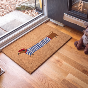 YINSHANG | Non-slip Pet-friendly Door Mat