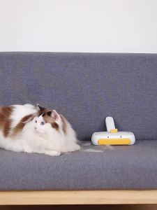 Duckling hair remover pet hair remover household hair remover cat hair remover dog hair remover adhesive hair remover carpet cleaning and hair removal tool