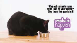 Vitamin Kucing Agar Gemuk Penambah Nafsu Makan Obat Bulu Lebat Lysine Menambah Daya Tahan Tubuh Kucing