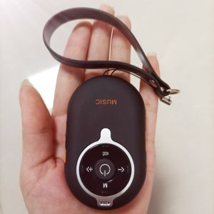 Portable Mini Bluetooth Speaker Convenient Stereo Mobile Phone Creative Card Reading Outdoor Sound High Volume Remote Control