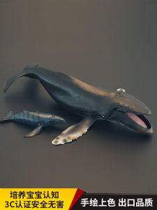 Childrens Simulation Ocean Mammal Toy Model Humpback Whale Fin Whale Giant Arm Whale Cognitive Gift Display Model Plastic Toys
