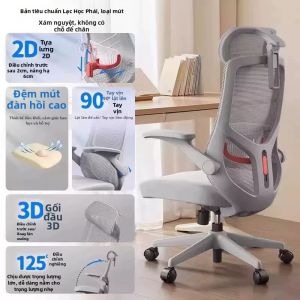 Ghế Văn Phòng Học Tập Ergonomic