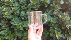 10.5oz/300ml Glass Mug/Coffee Cups for Cappuccino Latte Tea Espresso (2pcs & 6pcs)