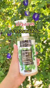 {โปรลดหนัก 2 แถม 2 } ครีมนวดผมสมุนไพรใบหมี่ สมุนไพรคุณภัทร ขนาด 300 มล.ต่อขวด บำรุงเส้นผมให้น่าสัมผัส