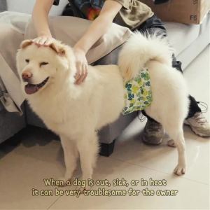 2pcs Washable Male Dog Belly Band Reusable Male Dog Belly Wrap Small Doggie Dog Cloth Diapers Male for Doggy Puppy