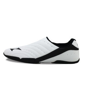 HiRacer 5858 Mens Taekwondo Shoes Soft soled Taekwondo Shoes Taekwondo Training Shoes