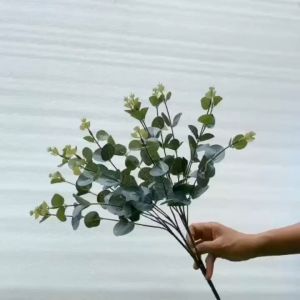 LÁ TÁO GIẢ .1 CỤM 16 NHÁNH