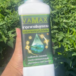 VAMAX (5แถม5) ปุ๋ยธาตุอาหารรวม เร่งการเจริญเติบโตของพืชทุกชนิด ใบเขียว แตกยอด แก้ใบซีด แก้ใบด่าง