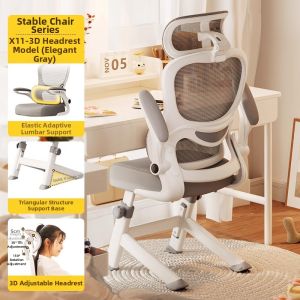 XIGE | Ergonomic Adjustable Comfortable Lumbar Support Office Chair