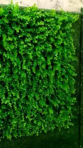 Thảm Cỏ Tai Chuột Nhựa PVC Kích Thước 40cmx60cm Trang Trí Tạo Không Gian Xanh Mát DC-403