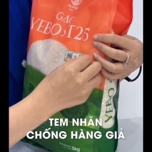 Gạo VEBO ST25 - Gạo ĐẶC SẢN AN GIANG - Hạt cơm trắng dài bóng dẻo gói 5KG