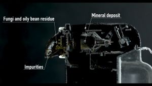 [NEW!] Clean-Taste Nespresso Machine Cleaning Capsule Product of Italy (10 capsules per box)