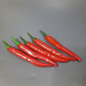 REPLIKA SAYUR CABE BESAR MERAH (1set=5pcs) / CABE BESAR MERAH PALSU / CABE BESAR MERAH PAJANGAN - CABE MERAH MAINAN