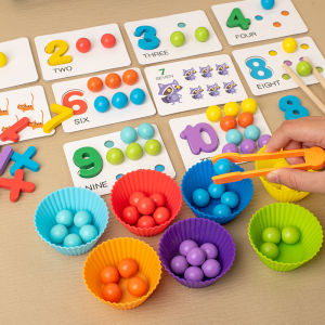 Montessori Intelligence Training Toy