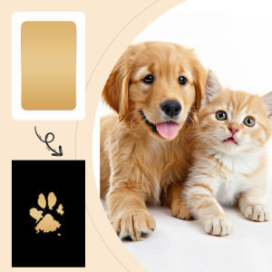 Pet Paw Print Impression Kit for Dogs Cats Footprints 1Inkless Ink Pads for Pet Hand and Footprints 2 Imprint Cards