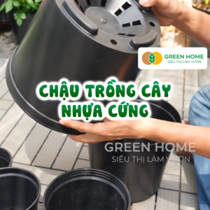 3 Chậu nhựa trồng cây Greenhome 11x12cm nhựa cứng Thoát nước tốt Đa dạng kích thước trồng cây hoa kiểng lá