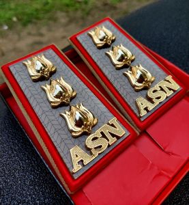 Pangkat Asn Sumsel 4b Lis Merah - Pangkat pns sumsel 4b