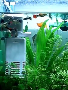 Pompa Filter Aquarium 5in1 Mini Filter Internal Power Filter Pompa Air Celup Aquarium / Internal Filter Aquarium / Pompa Air Aquarium