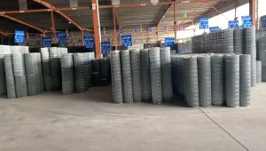 1Meter Height 5Meter Length Birdcage Net Quail Breeding Pigeon Welding Rolling Chicken Household Rabbit Cage Galvanized Iron Wire Parrot