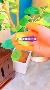 Vegetable Picking Finger Cots | Multifunctional Iron Nail Gloves | Agricultural Thumb Knife | Garden Supplies 1Pack 1+5