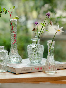 Mini Desktop Decorative Glass Flower Vase Transparent Simple Water Cultivation Container Small Flower Bottle Ornament