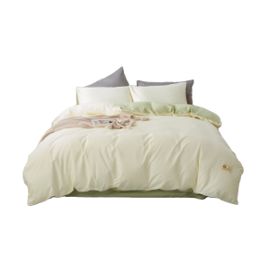 Thickened Pure Cotton Bedding Set Dormitory Three-Piece Pure Color Simple Design Bed Sheet Cover Bed Canopy Quilt Cover Four-Piece Set