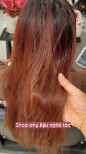 Kem bóc màu tóc B4 Bóc màu đen/đỏ/xanh đen Bóc màu phủ bóng/đen kim loại - Sản Phâm Chăm Sóc Tóc Chuyên Dùng Cho Salon