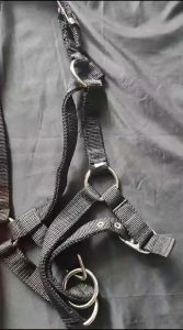Tali Strap Kekang Kepala Kuda Horse Riding Equestrian