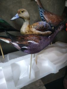 (BISA COD) JONTROT BURUNG RAWA BELIBIS MANDAR PELAN TEKUKUR PUNAI WALIK AYAM UTAN BETINA/ boneka patung dekoy burung