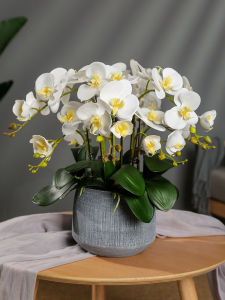 High-End Butterfly Orchid Artificial Flower Art Decorative Piece Living Room Dining Table TV Cabinet Potted Decoration Fake Flowers