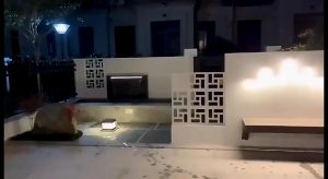 Waterfall Fountain Wall: Enhance Your Pool Water Descent & Garden Decor
