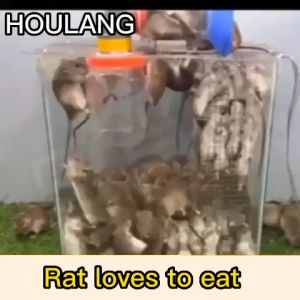 😱 500g One Bag OMG! 😱 HOULANG Rat Bait Rat Pallet 老鼠药 Racun tikus paling kuat rat poison killer mouse killer racun tikus paling berkesan