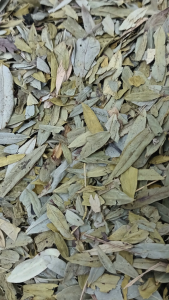 泻叶 100g Senna Leaf Teh 中药 茶叶 Jati Cina Xie Ye Daun Senna Chinese Herb Herbal Tea