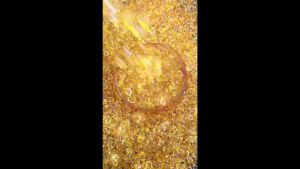 100Pcs Crystal 水晶元宝 FENGSHUI招财元宝 黄水晶摆件 金元宝（已開光）聚宝盆 元宝 黃銅米缸 聚寶盆 招財 風水 米桶 米缸 黄金万两金条 水晶条 水晶乾隆币