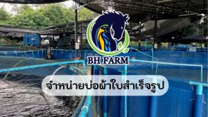 บ่อผ้าใบแท้ไนลอน บ่อผ้าใบสำเร็จรูป บ่อปลาสำเร็จรูป กระชังเลี้ยงปลา เลี้ยงกุ้ง เคลือบหนาพิเศษ 0.5มม ทรงกลม